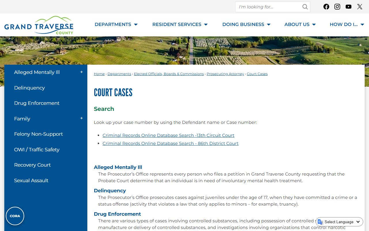 Grand Traverse County court records case-category links