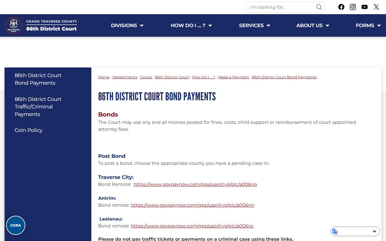 Grand Traverse County criminal court records district court bond payment page